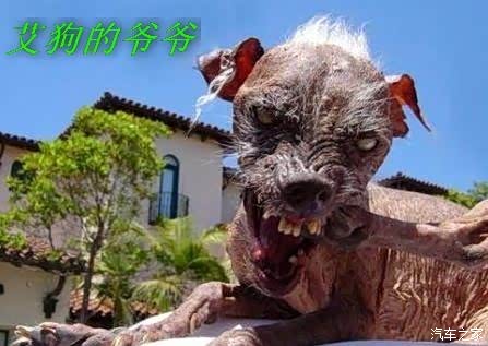 这次还看不懂咱就抱头痛哭吧■■ 4帧之间究竟有多少时间