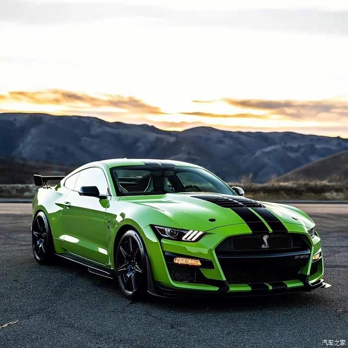 狂躁野马福特shelbygt500