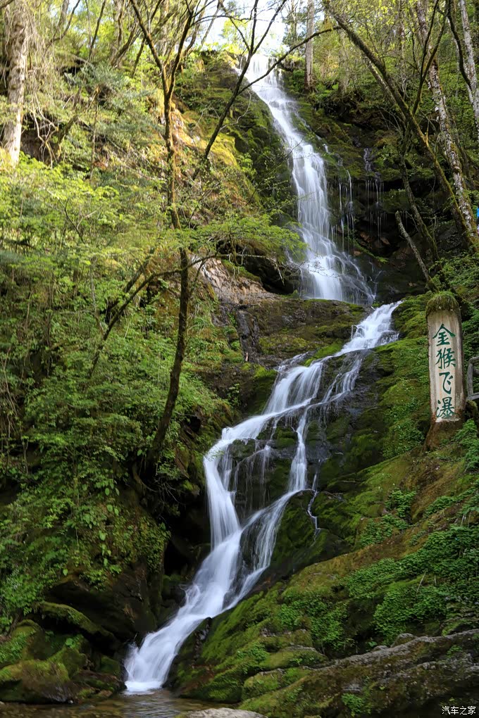 神农架随心漫游森林氧吧金猴岭