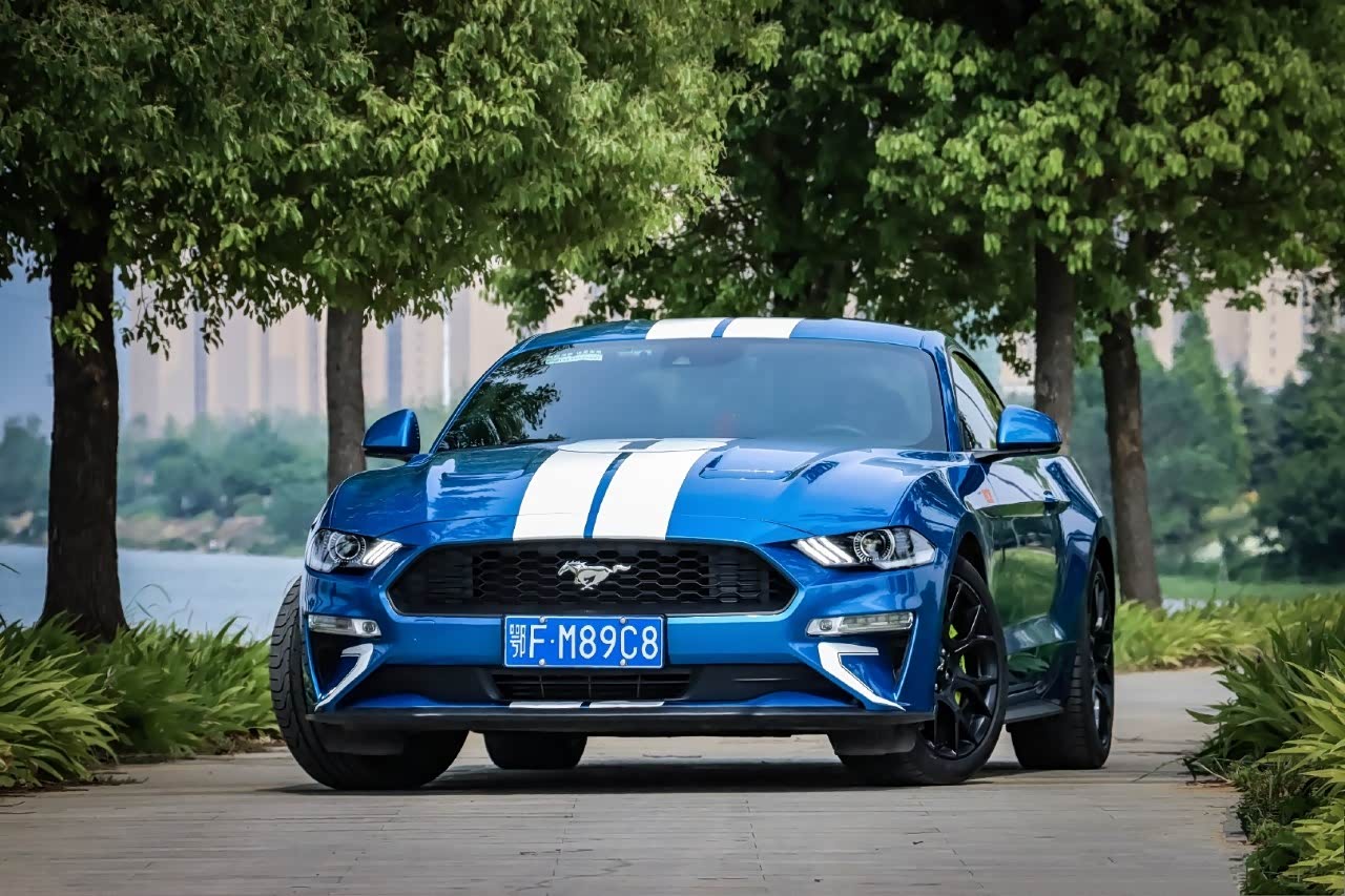 蓝色的野马更富有激情.