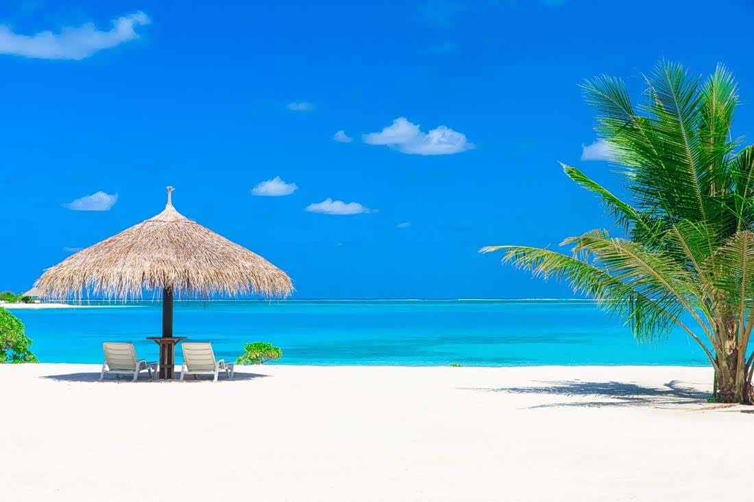 大海边的风光美景是我最喜欢的 因为我们离大海太远了