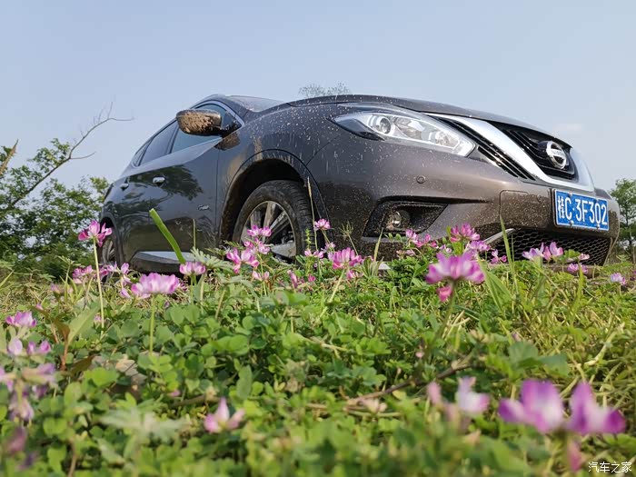 混动尊尚5000作业