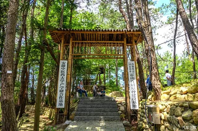 安徽霍山县有个"中国石斛之乡",它就是太平畈乡