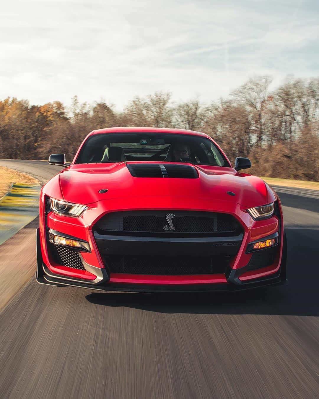 福特野马shelby gt500