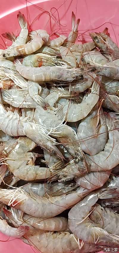 基围虾.