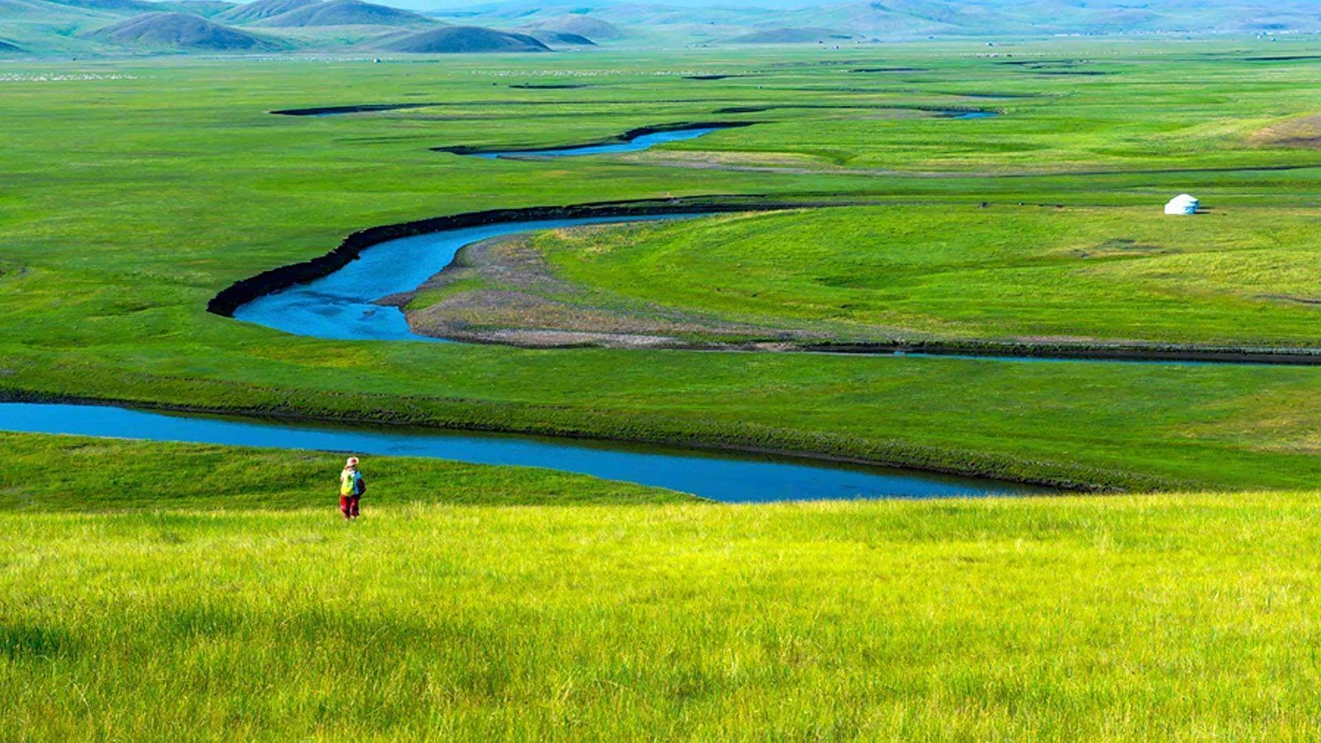 呼伦贝尔每逢盛夏草原上鸟语花香空气清新