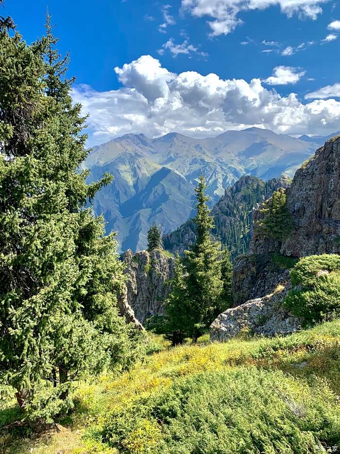天山天池风光如画,一眼望去,就是一副"独特"的风景画