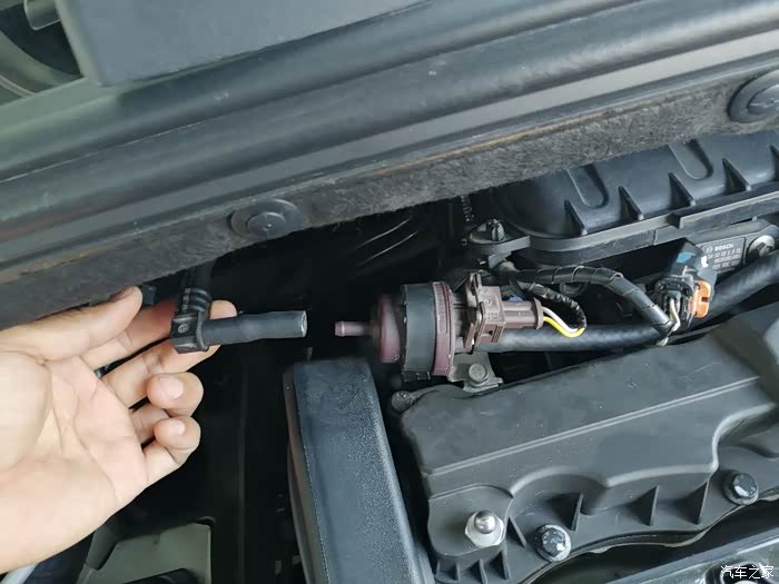 2014款标致308改装碳罐灰滤位置吹碳罐内部灰尘