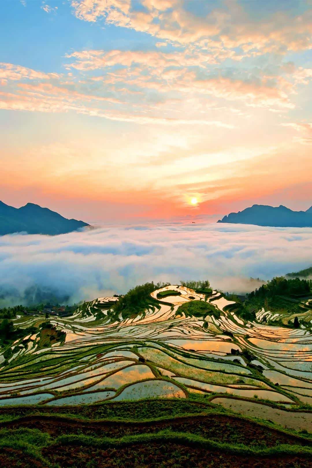 一城,一湖,一梯田,这里是丽水云和!