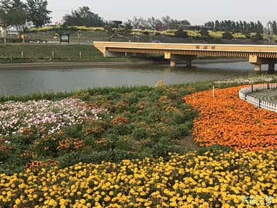 【精华达人大评比】石家庄鹿泉区十里花廊游玩