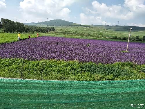 f3速锐,猎豹汽车京北草三日原游!开启