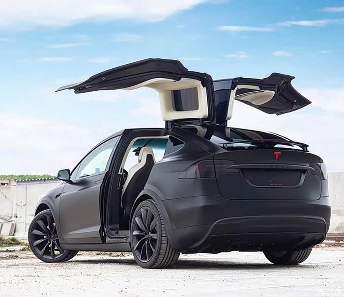 红标特斯拉好像不太好惹啊偷笑偷笑