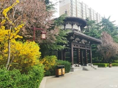 自驾程王公园,邂逅春日美好