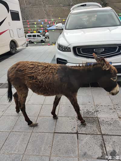 夏日出行企划一家人的西藏自驾2022年7月川进青出之旅