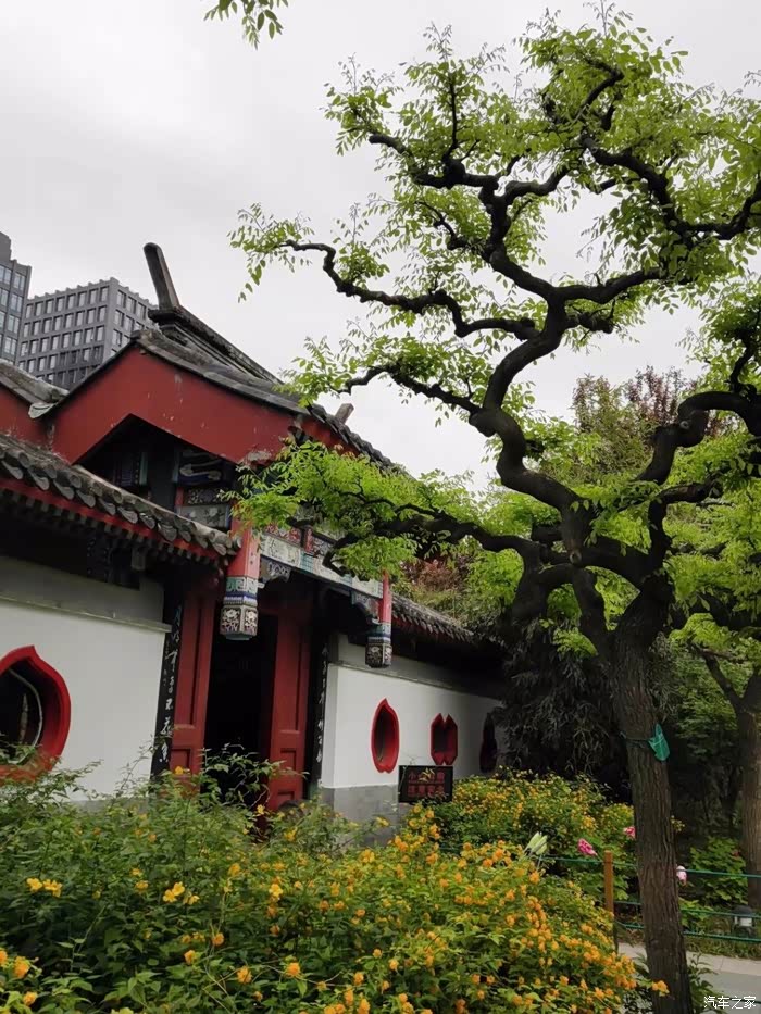 红墙绿瓦夕月坛