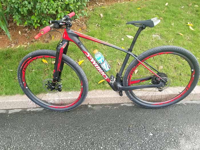 闪电硬尾臭美一下