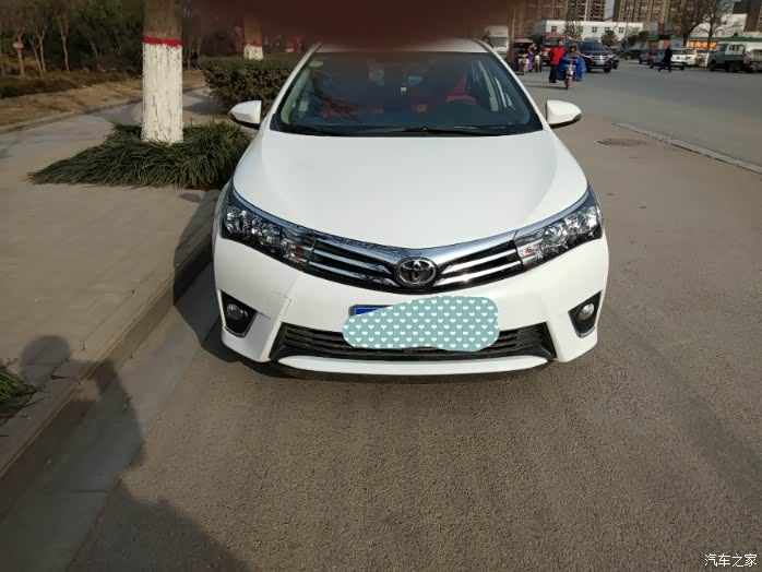 【图】周末带着孩子,看可爱的狗狗_卡罗拉论坛_汽车之家论坛