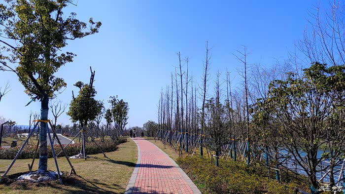 【积分大放送】春意盎然的放马滩公园