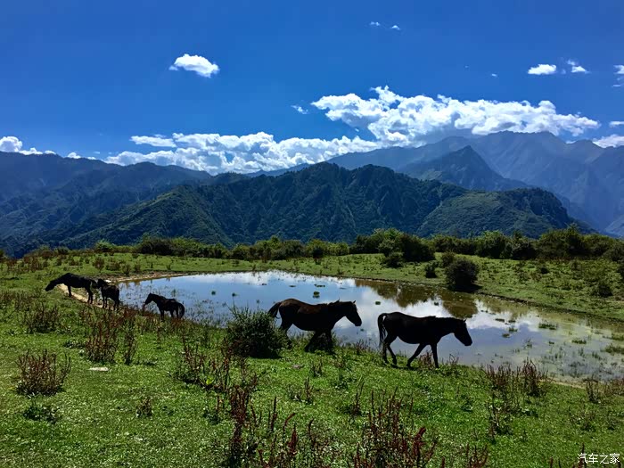 江淮嘉悦x4夏季避暑好去处卧龙熊猫坪