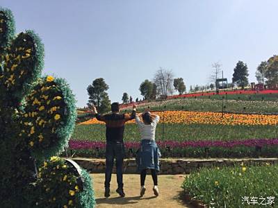 凱光新天地新餘國家亞熱帶植物園一日遊!