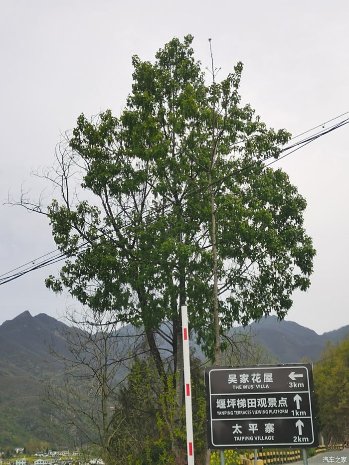 吴家花屋图片