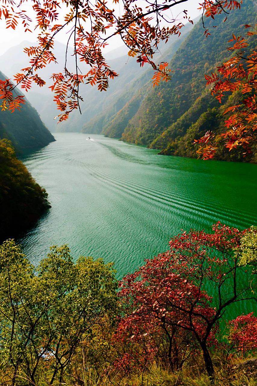 【图】长江三峡的秋天有多美