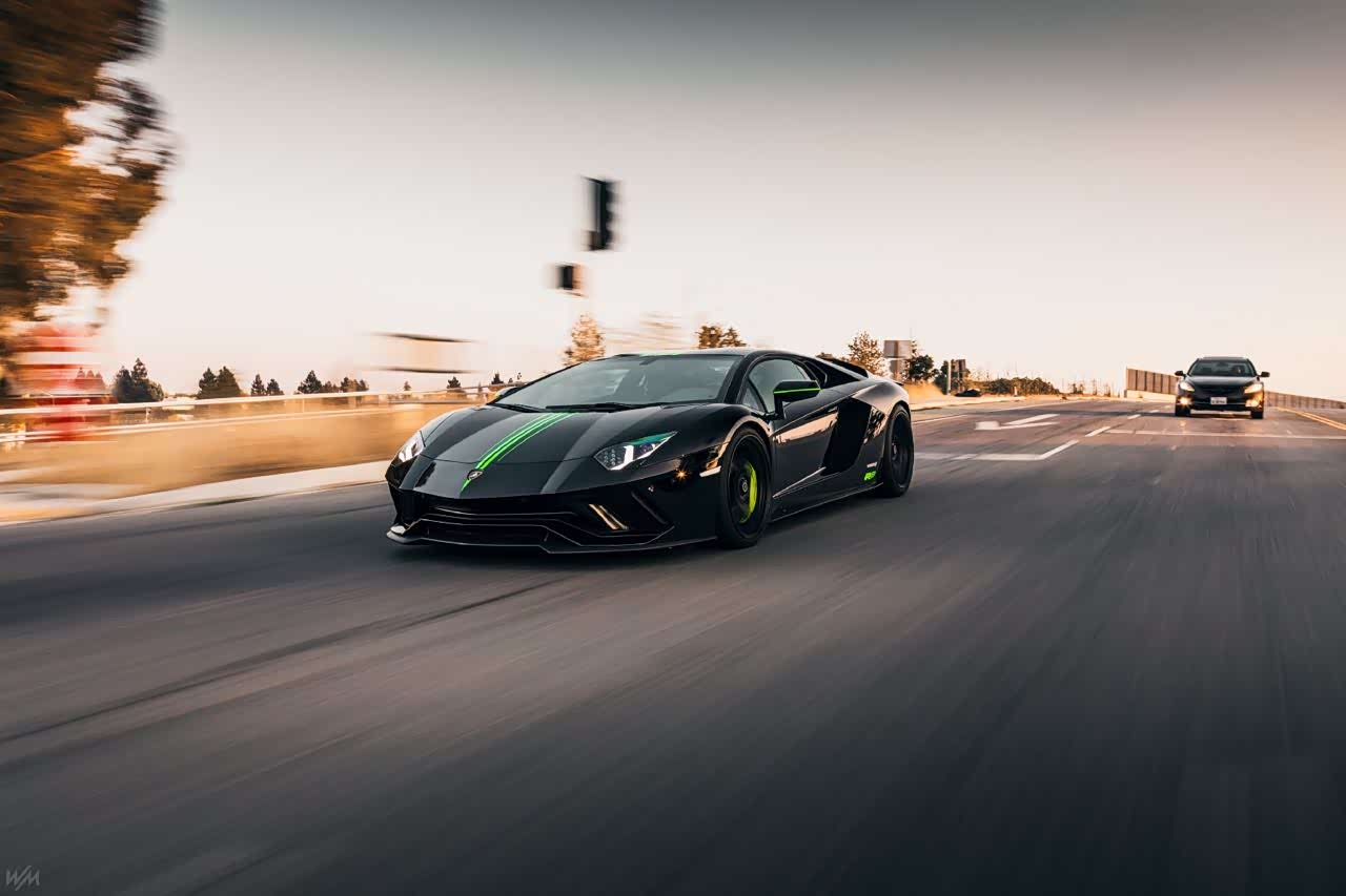 黑色蛮牛大牛还是黑的更酷一点你觉得呢