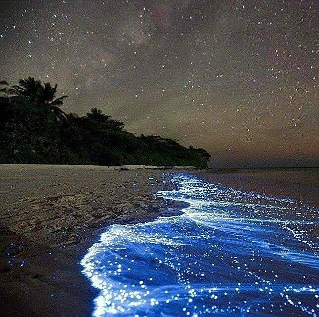 荧光海滩位于马尔代夫的vaadhoo岛,星光点点,浪漫绝伦