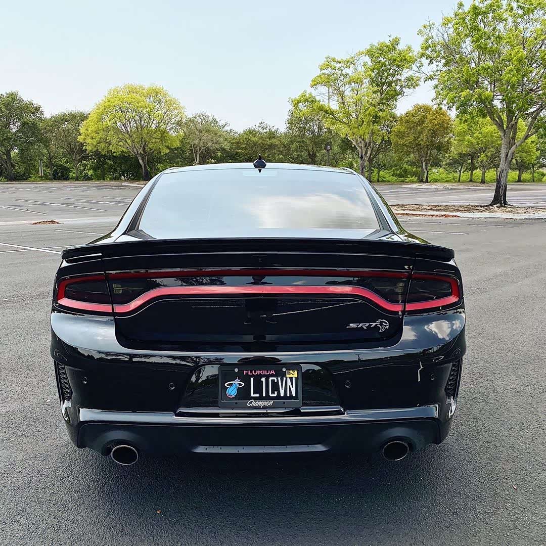 道奇chargersrthellcatwide