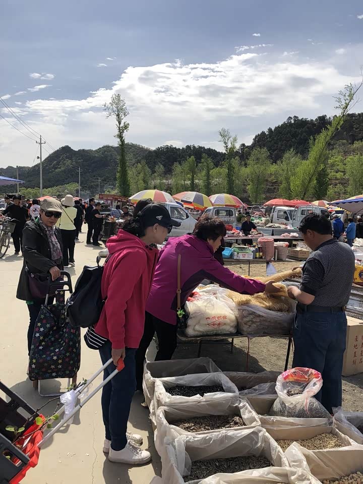 先参加平谷桃花节,再下营赶大集.