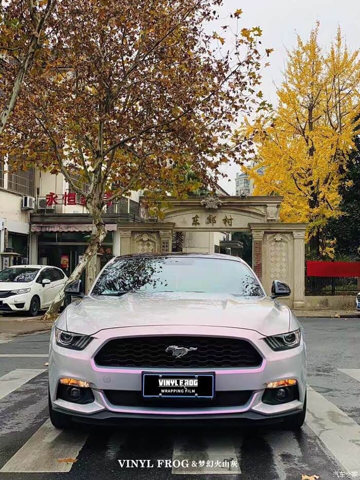 野马#vf2009梦幻火山灰