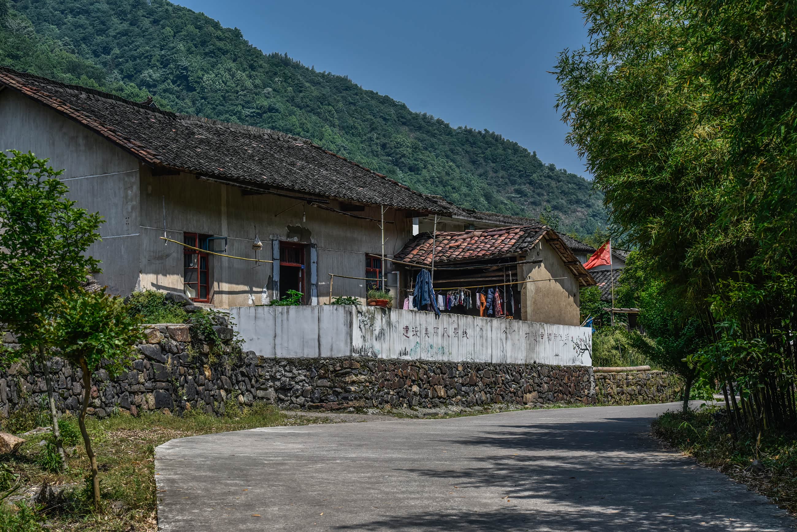 曾经被嫌弃农村如今却香饽饽最主要原因什么面就跟山野君起去皖南个