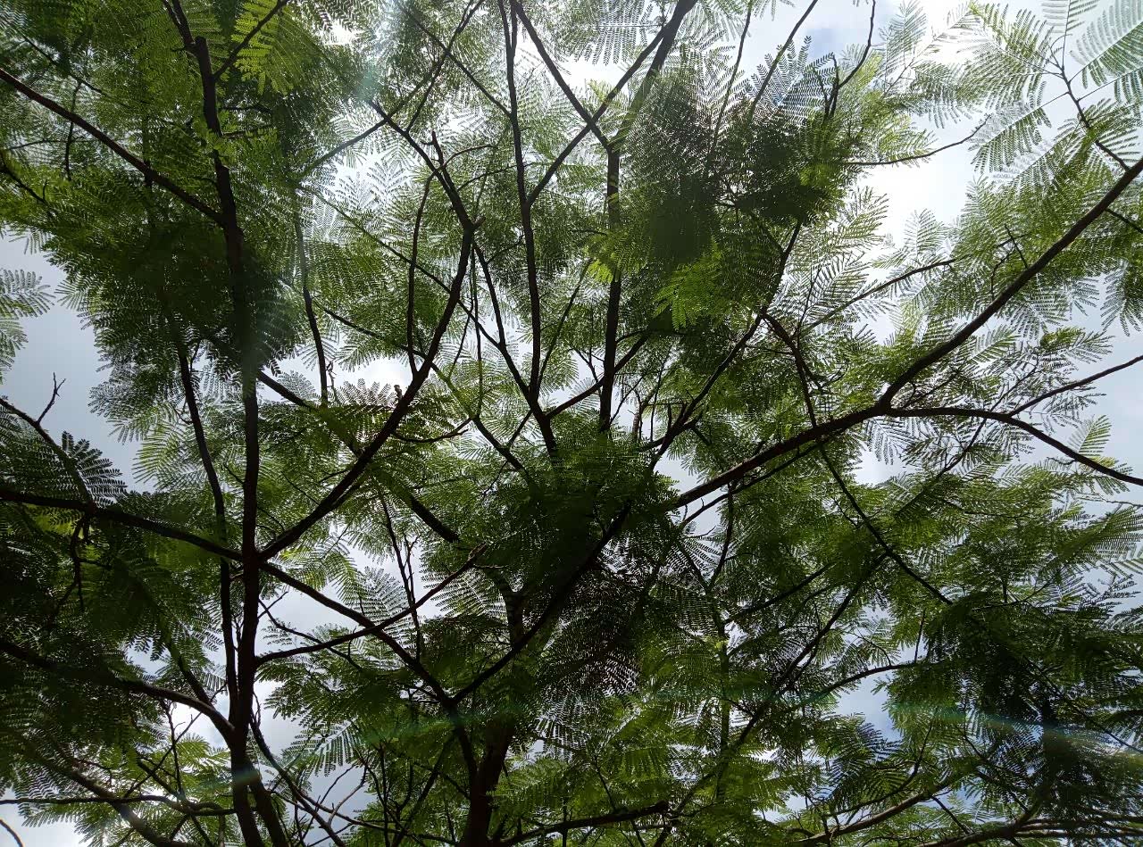 起亚k3/k3s论坛_汽车之家论坛