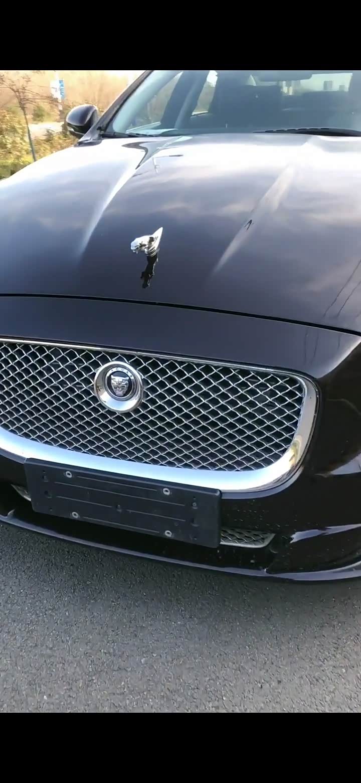 151 | 回复: 1 捷豹xj论坛 人生如果能拥有一台这样的小豹子,绝对值得