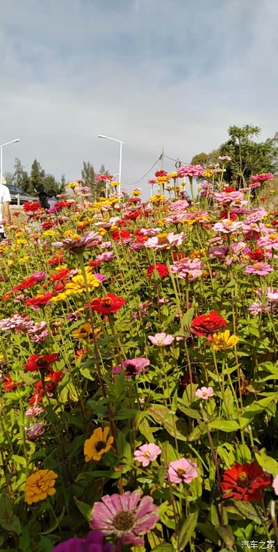 【汽车之家16岁生日快乐】【cs95】自驾游;石狮花海谷公园