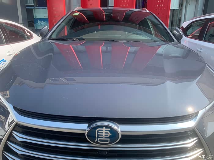 【图】唐龙的胡须飘逸轻盈!_唐/唐新能源论坛_汽车之家论坛