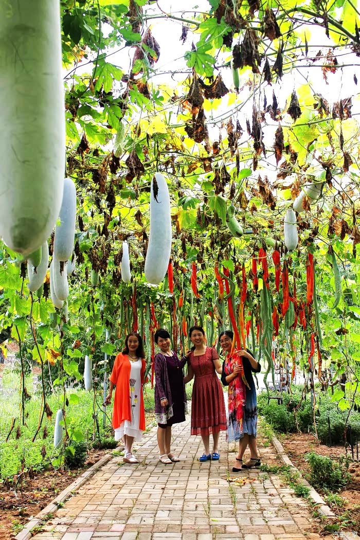 积分大放送自驾游官庄奇异瓜果园