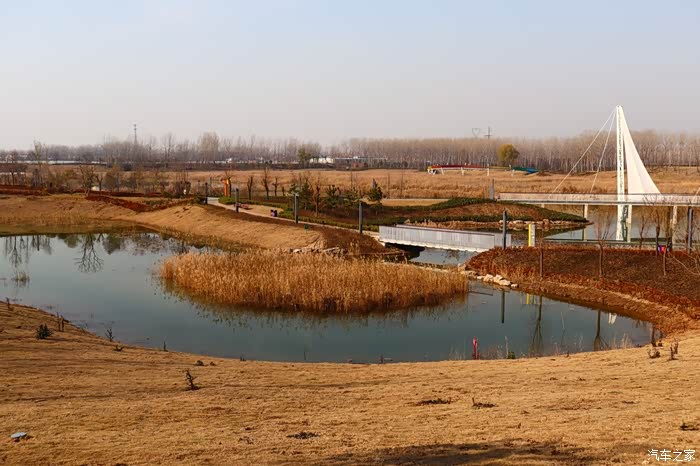周口沙河湾湿地公园游记-小钢炮,冲冲冲!