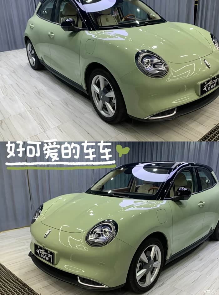 超心水这个牛油果色欧拉好猫