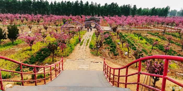 正定樱花小镇
