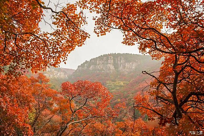 漫山紅遍層林盡染