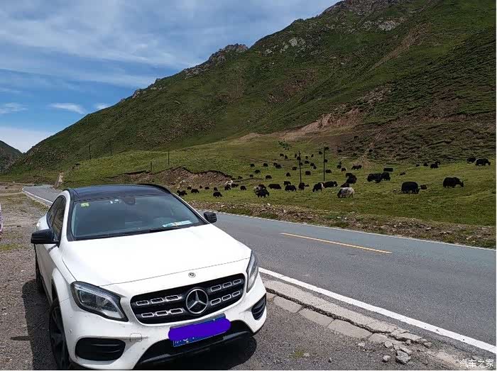 【图】北京-青海-甘肃青海湖大环11天自驾游-说走就走的逍遥自在_奔驰