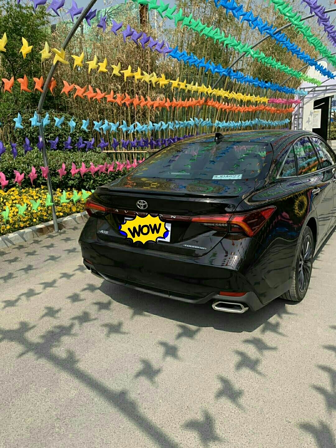 【图】碳晶棕,满怀激动心情的首发作业_亚洲龙论坛_汽车之家论坛