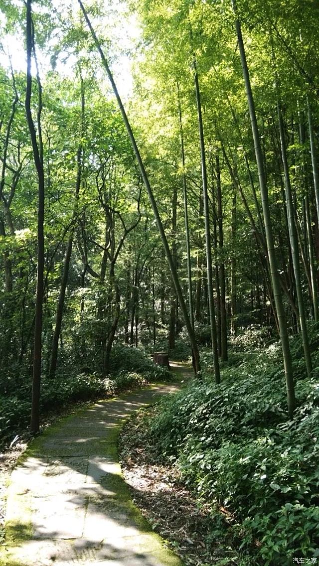 四川長安suv聯盟清晨金城山國家森林公園遊記