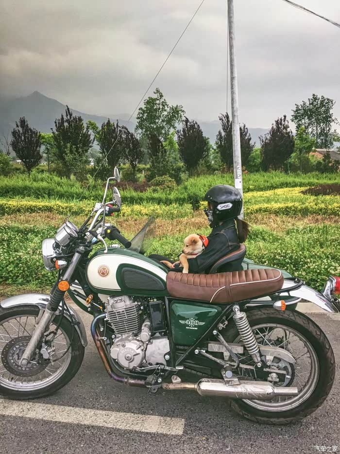 骑行郊游日坐侉子摩托带狗子出行遇到下大雨了该怎么办
