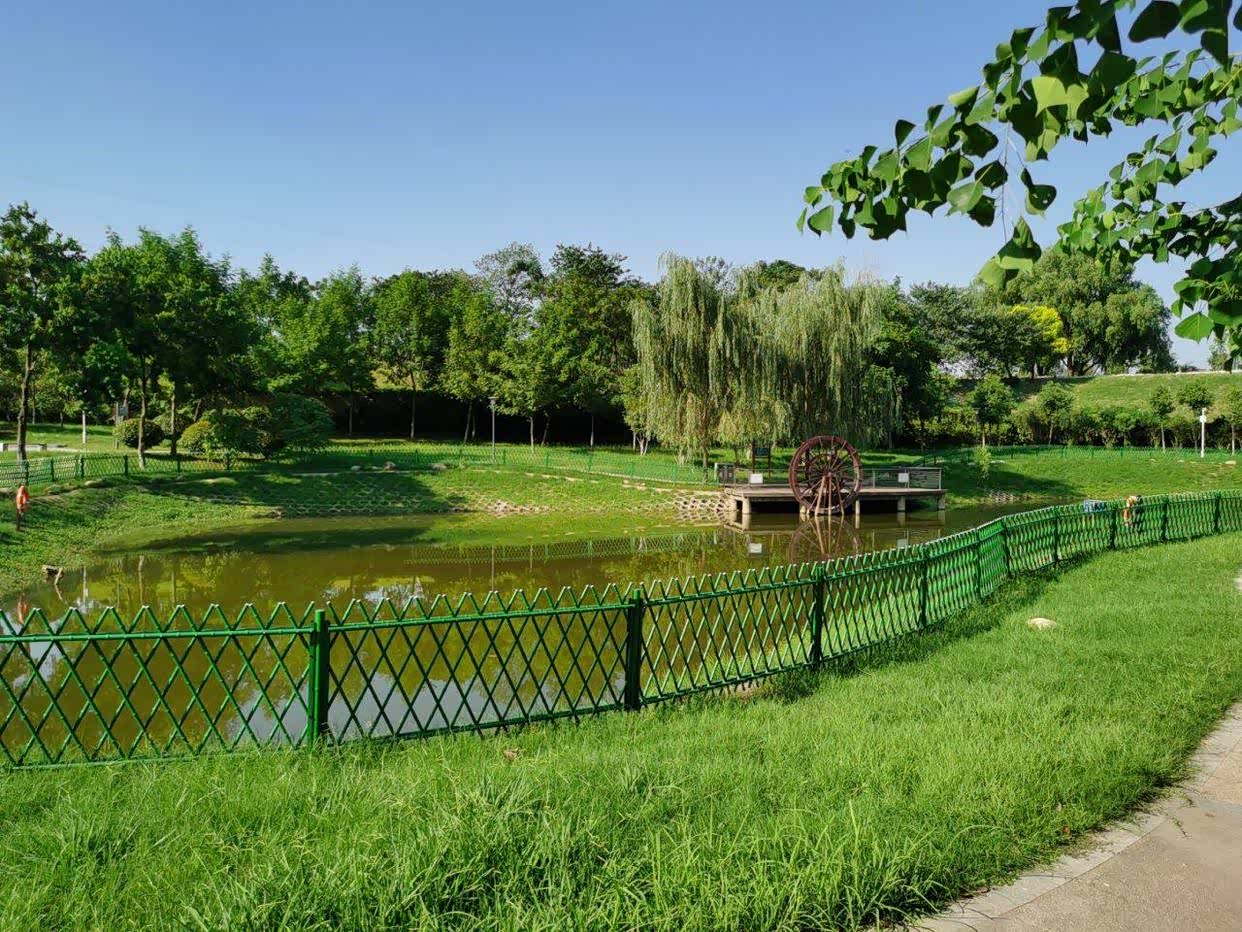 武汉市江岸区府河郊野公园,一个不引人关注的公园!