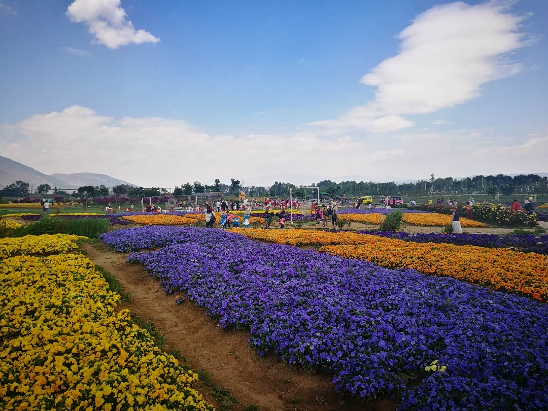 【图文】云南大理花语牧场(一)
