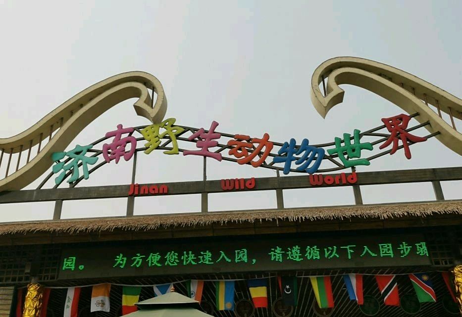 到濟南野生動物園,和小動物們來個親密接觸