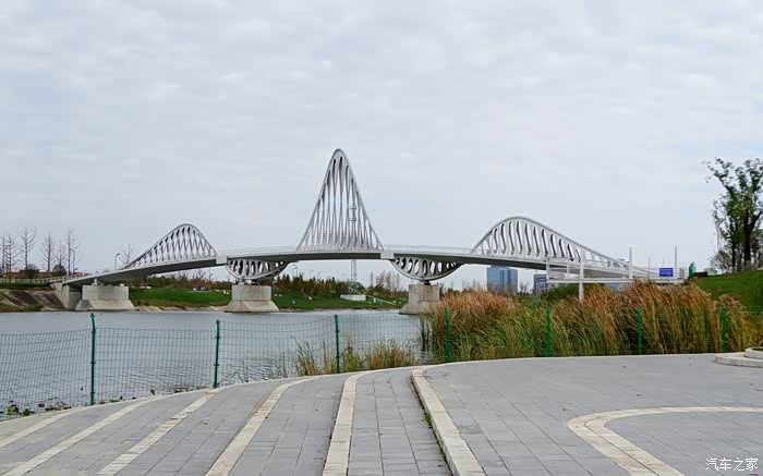 【图】沣河金湾的鸟语禽生_陕西论坛_汽车之家论坛