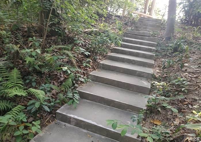 深圳cs75车友会535逝水游记之流塘公园